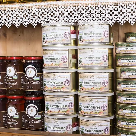 מלון Altes Stadttor 3*