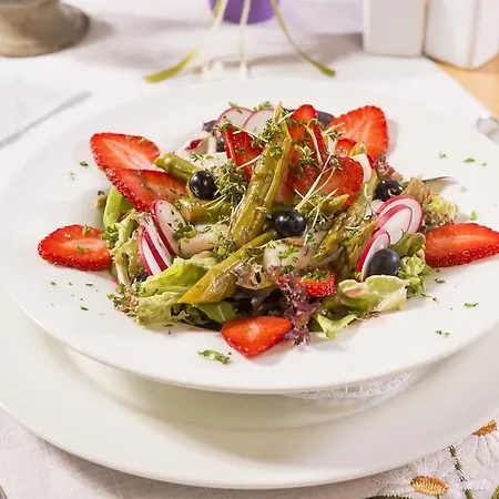 阿尔特斯斯塔托尔酒店 酒店 卡斯特劳恩